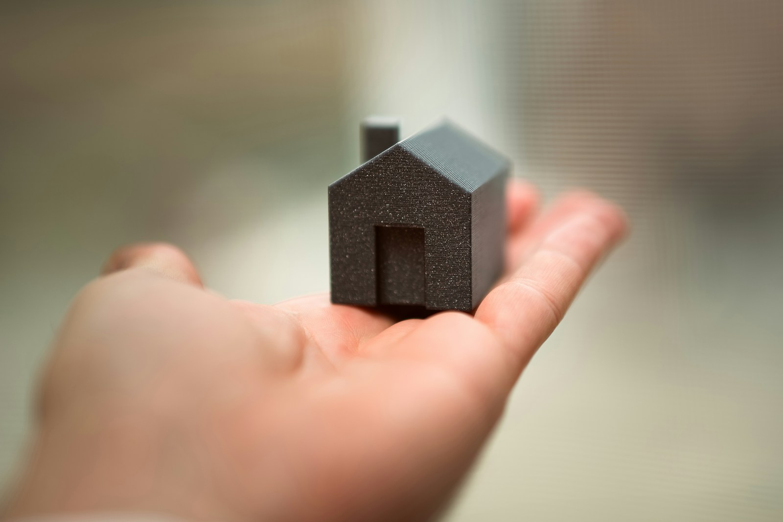 A person holding a small house in their hand